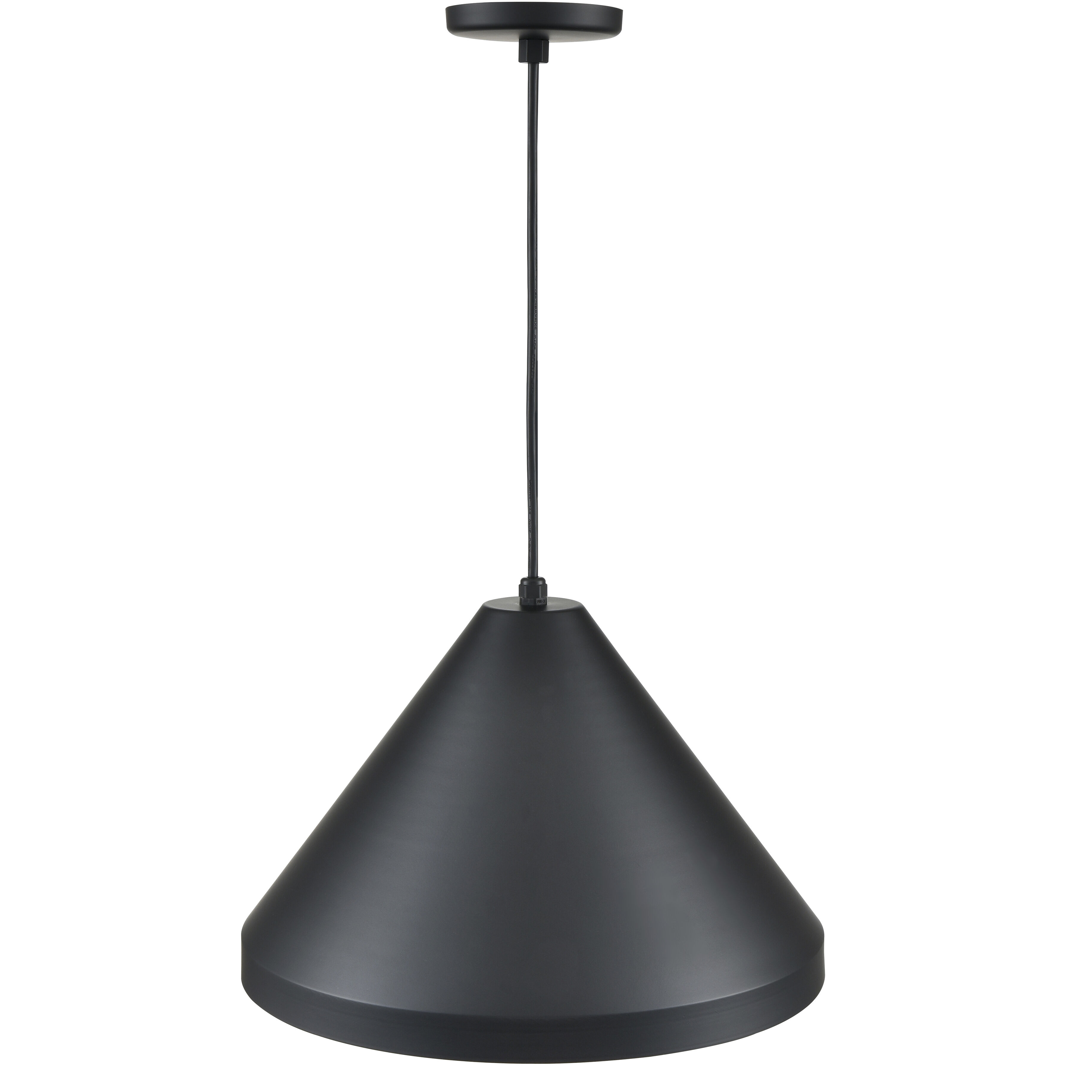 R Series 1 Light 13 inch Satin Black Outdoor Pendant